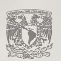 Logo UNAM